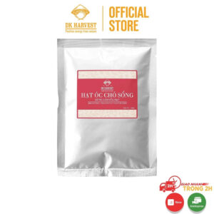 Nhân hạt óc chó sống DK Harvest